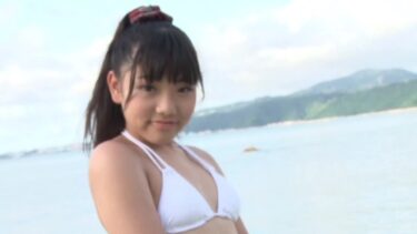 Premium Doll / 港乃碧