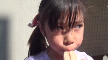 akemi vol.2 / あけみ