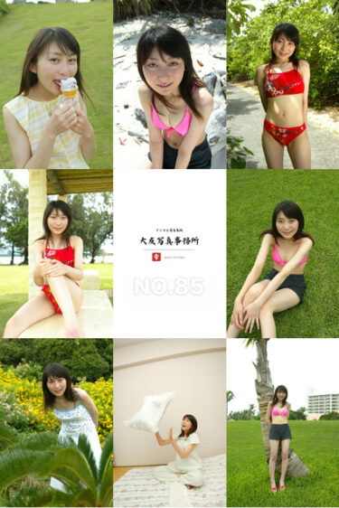 大友写真事務所DX NO.85 