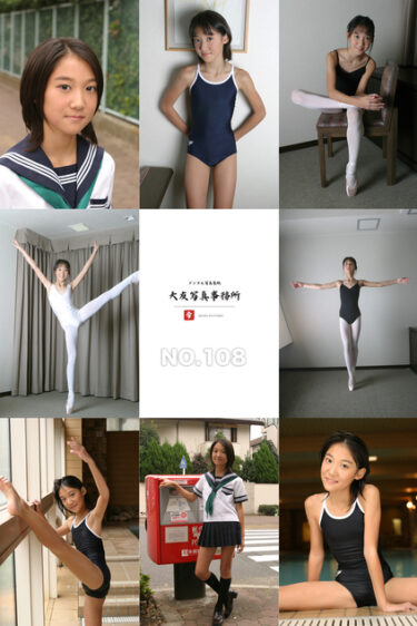 大友写真事務所DX NO.108 